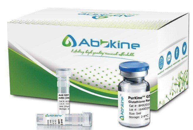 https://d1vffmuvmgkypt.cloudfront.net/image/ridacom_ltd/abbkine_scientific_co_ltd/PRODUCT_SOURCE__ABBKINE__SUPPLIER__RIDACOM__ID__KTP20306__0