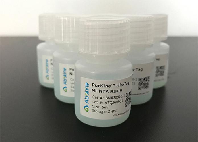 https://d1vffmuvmgkypt.cloudfront.net/image/ridacom_ltd/abbkine_scientific_co_ltd/PRODUCT_SOURCE__ABBKINE__SUPPLIER__RIDACOM__ID__KTP20306__1